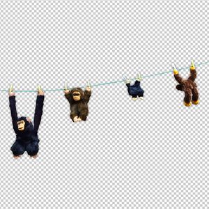 午夜高清一区二区视频
