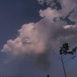 中文字幕乱偷无码AV先锋
