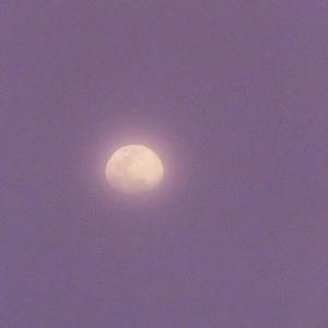 王者荣耀❌同人禁网站
