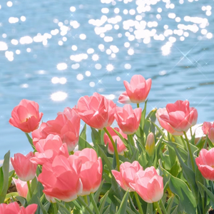 极品美女扒开粉嫩小泬!
