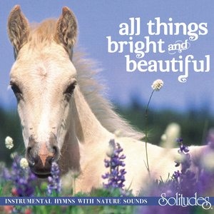 少妇喜欢我不戴套子
