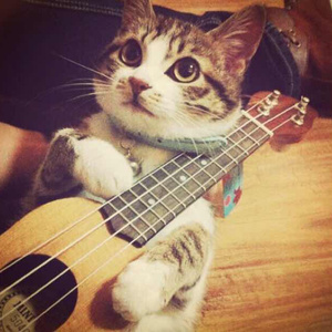 搜索1级 大美女处女 免费看1级黄片 黄片儿免费看
