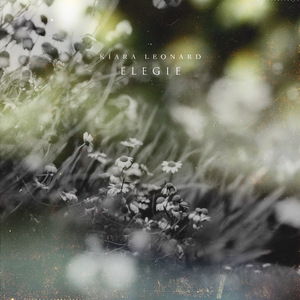 搡老岳熟女岩崎千鹤
