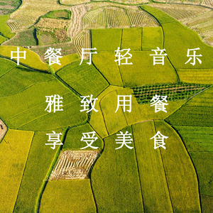 美女100%裸体裸胸动态视频
